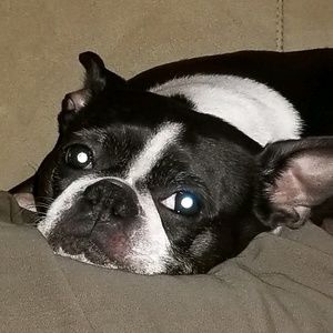 Meet your Posher, Donna